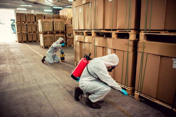 Best Residential Pest Control  in Holley, FL