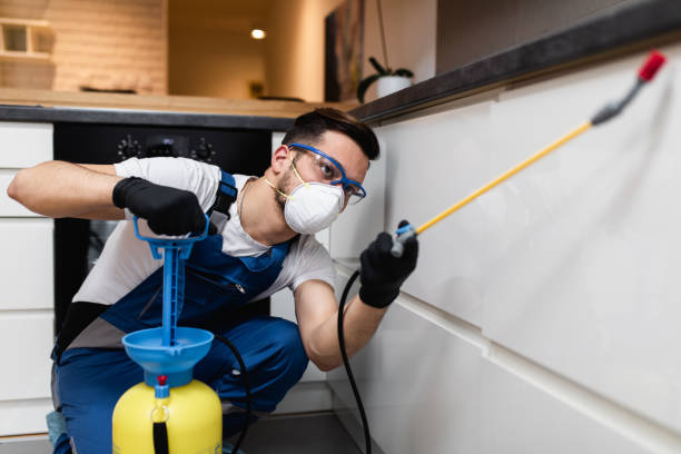 Best Wildlife Control Services  in Holley, FL