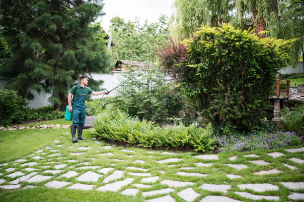 Best Affordable Pest Control Services  in Holley, FL