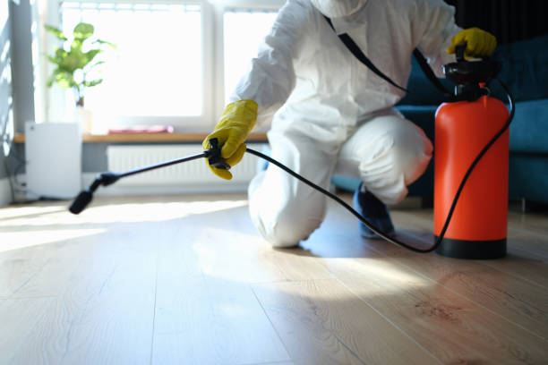 Pest Control for Restaurants in Holley, FL