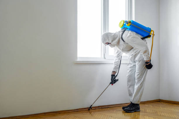 Best Best Pest Control Companies  in Holley, FL