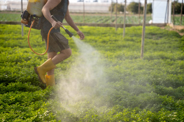 Best Residential Pest Control  in Holley, FL