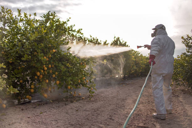 Best Pest Control for Restaurants  in Holley, FL