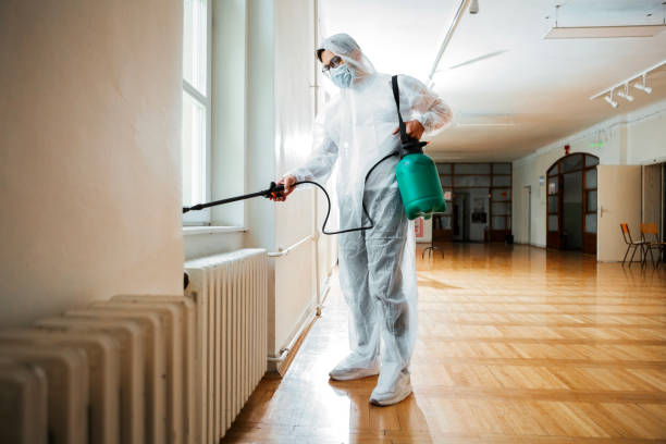 Wasp Removal Services in Holley, FL