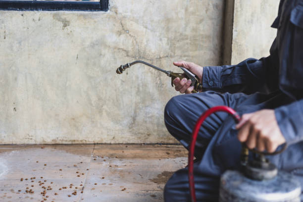 Best Pest Control Near Me  in Holley, FL